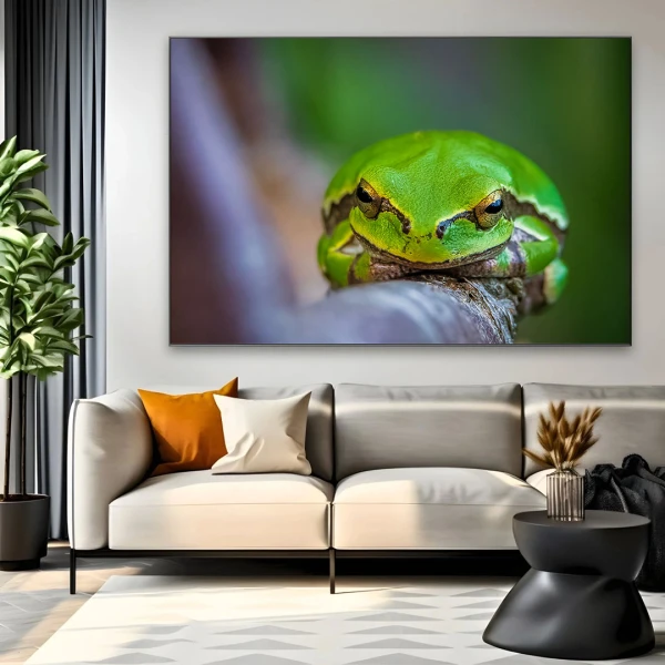 Ochii Naturii - Adriana Pana