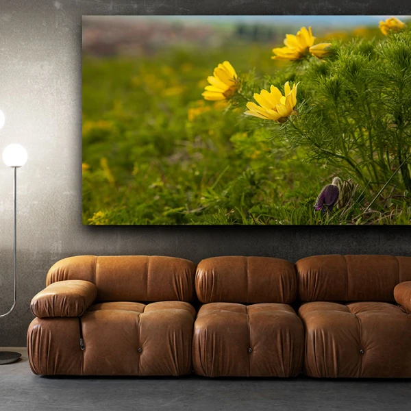 Dupa Ploaie - Adriana Pana