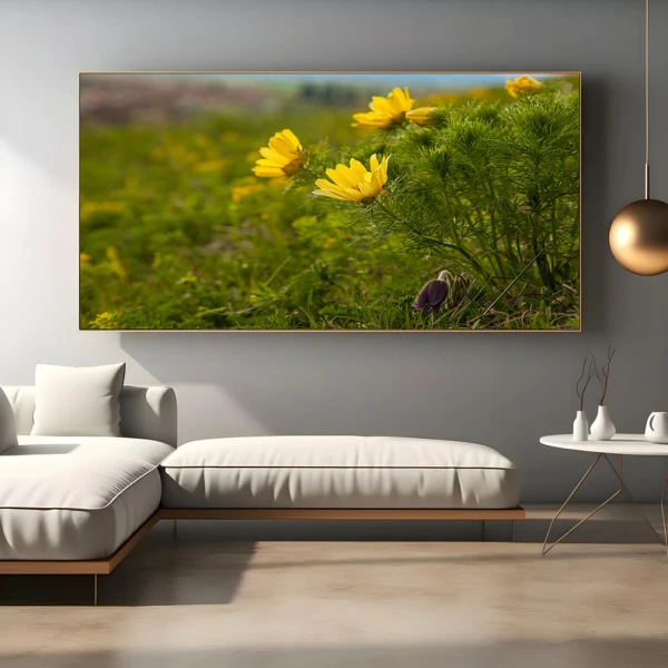 Dupa Ploaie - Adriana Pana