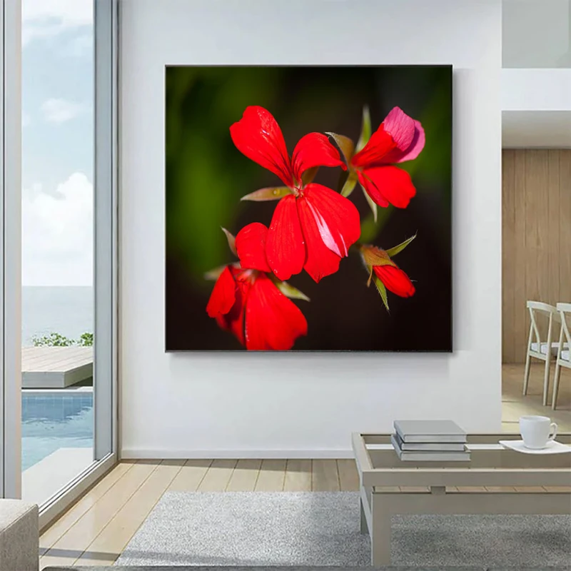 Mușcate Tiroleze - Adriana Pana