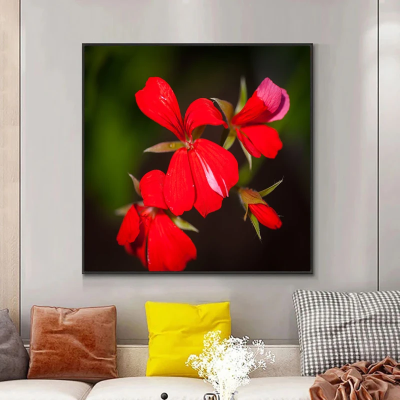 Mușcate Tiroleze - Adriana Pana