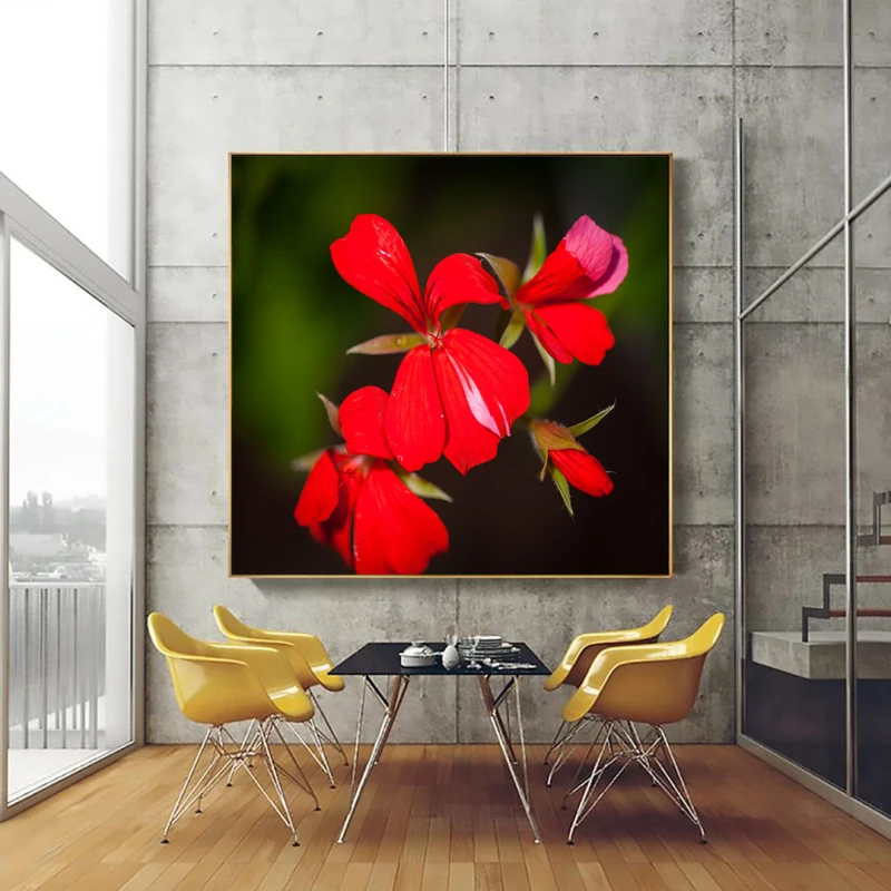 Mușcate Tiroleze - Adriana Pana