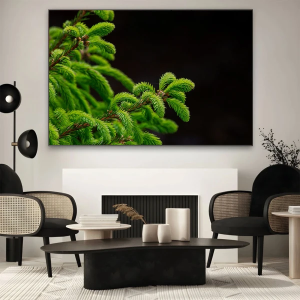 Verde Crud - Adriana Pana