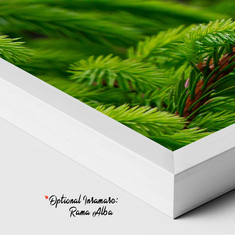 Verde Crud - Adriana Pana