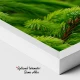 Verde Crud - Adriana Pana