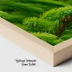 Verde Crud - Adriana Pana