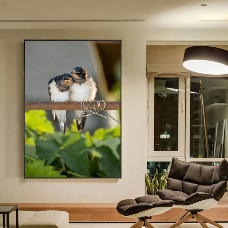 Afecțiune Pe o Crenguță - Cami Voinea