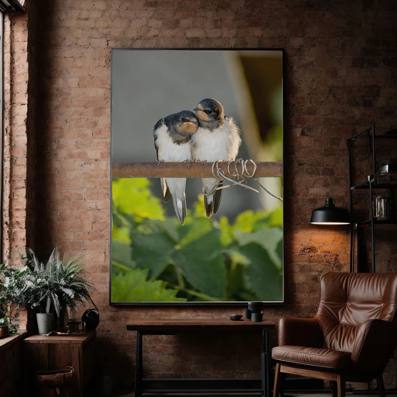 Afecțiune Pe o Crenguță - Cami Voinea