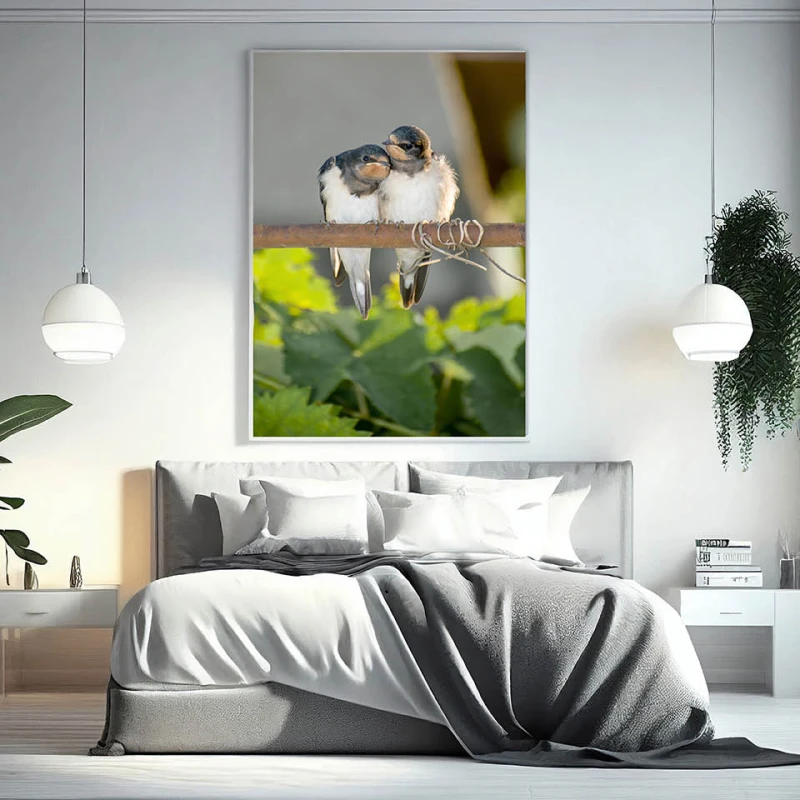 Afecțiune Pe o Crenguță - Cami Voinea