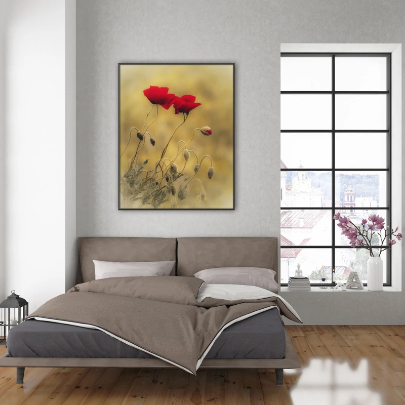 Alchimia Rosului Aprins - Cami Voinea