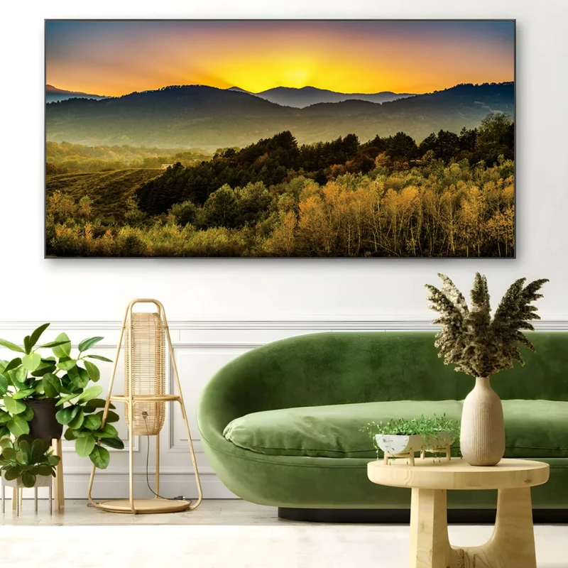 Culorile Vrâncioaiei - Cami Voinea