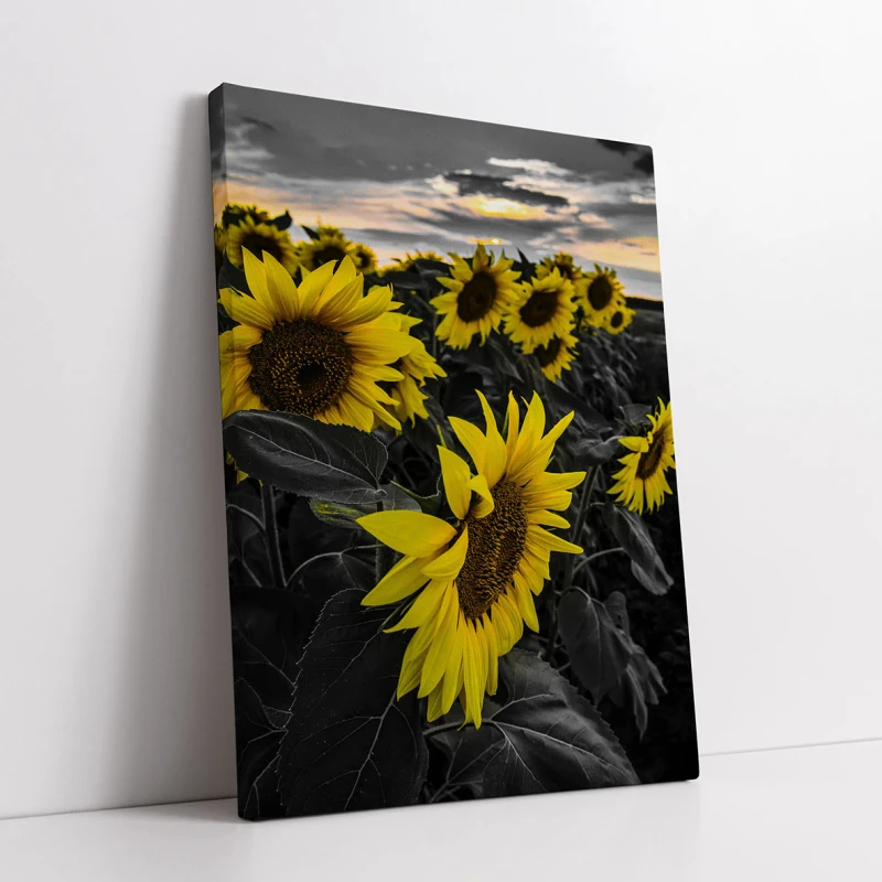 Caleidoscopul Soarelui - Cami Voinea