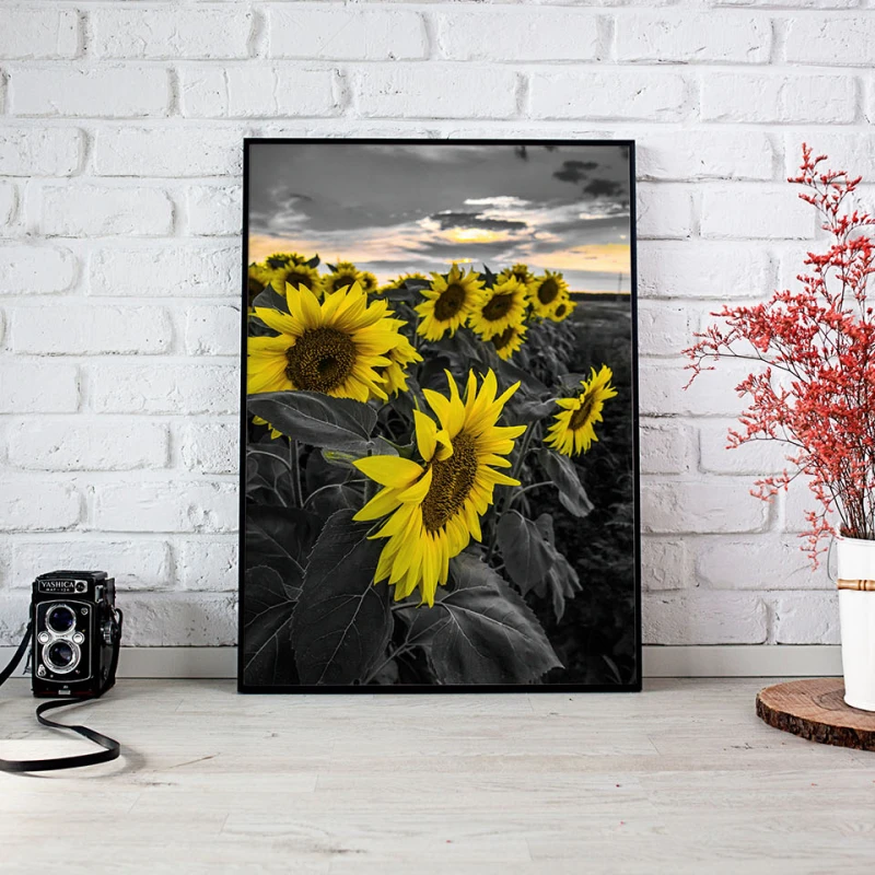 Caleidoscopul Soarelui - Cami Voinea