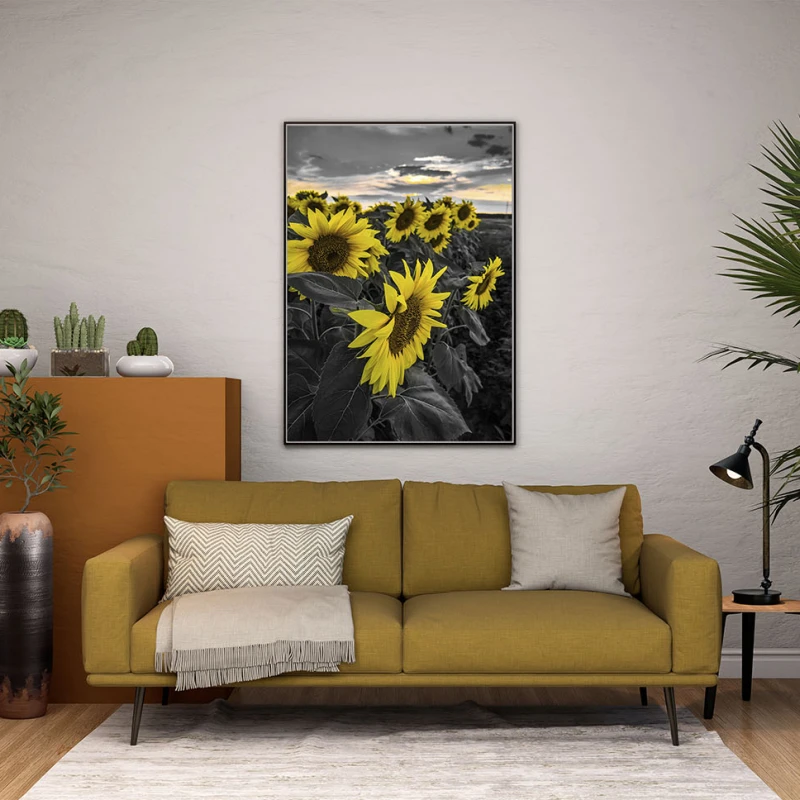 Caleidoscopul Soarelui - Cami Voinea