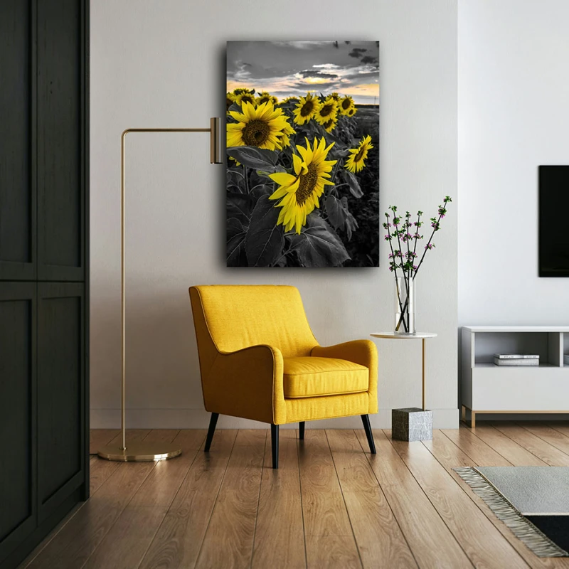 Caleidoscopul Soarelui - Cami Voinea