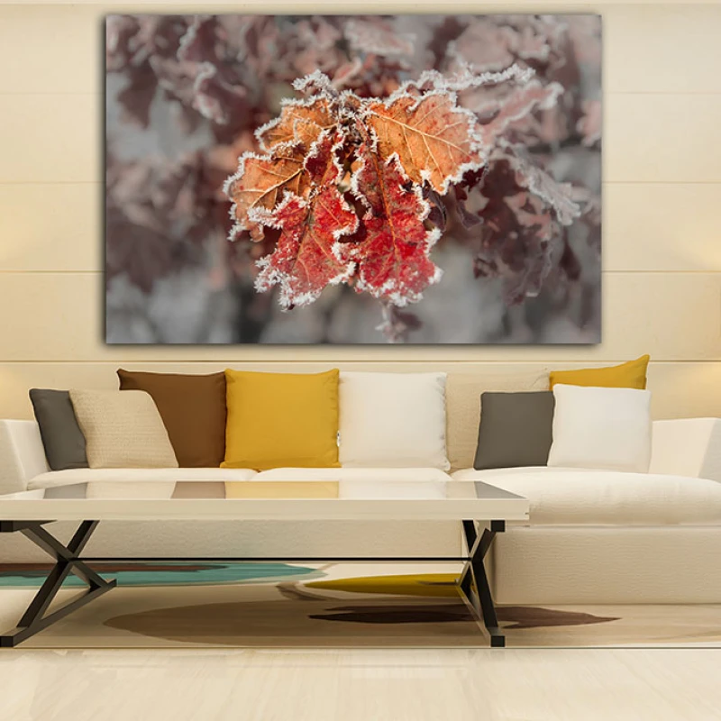 Dantela din Zăpadă - Cami Voinea