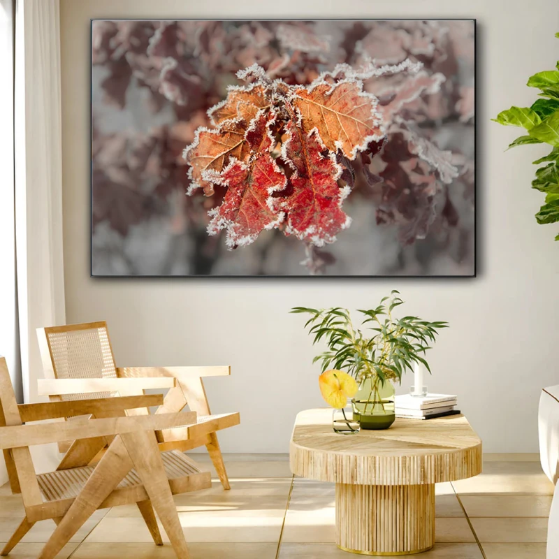 Dantela din Zăpadă - Cami Voinea