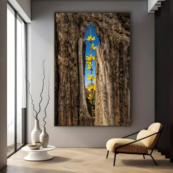 Dulcele Mister - Cami Voinea