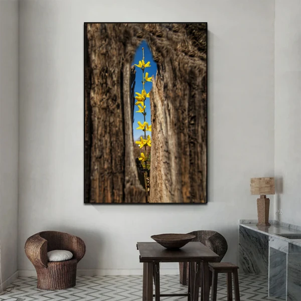 Dulcele Mister - Cami Voinea