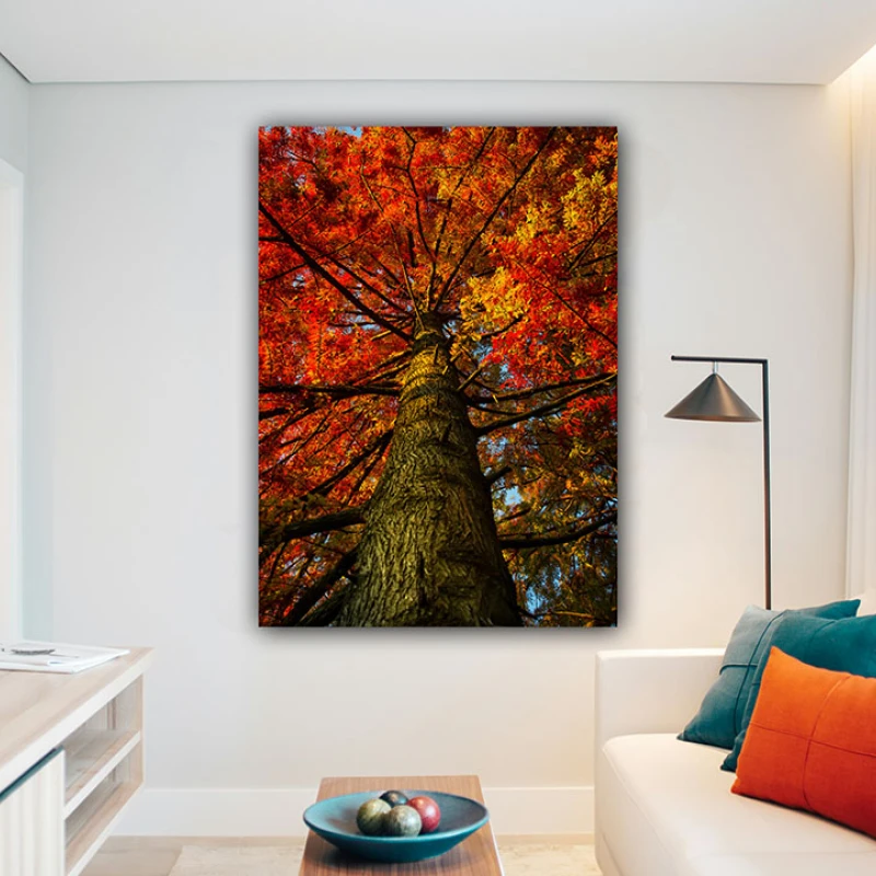 Ecoul Poeziei Toamnei - Cami Voinea