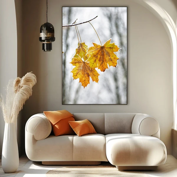 Intre Anotimpuri - Cami Voinea