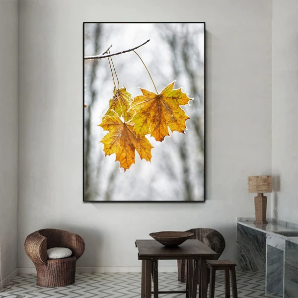 Intre Anotimpuri - Cami Voinea