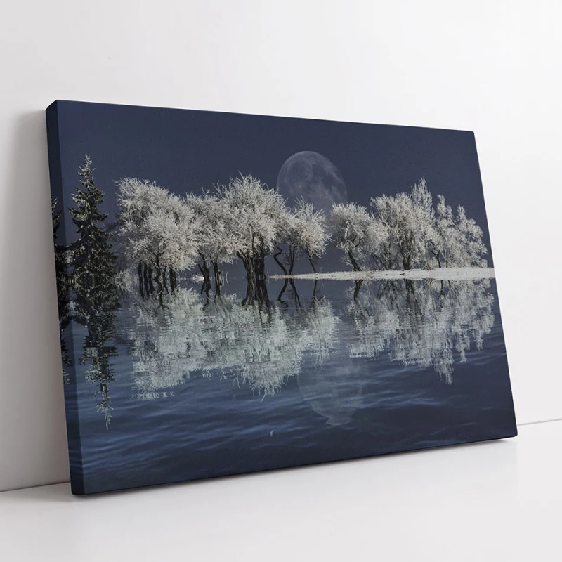 Sub Lumina Lunii - Cami Voinea