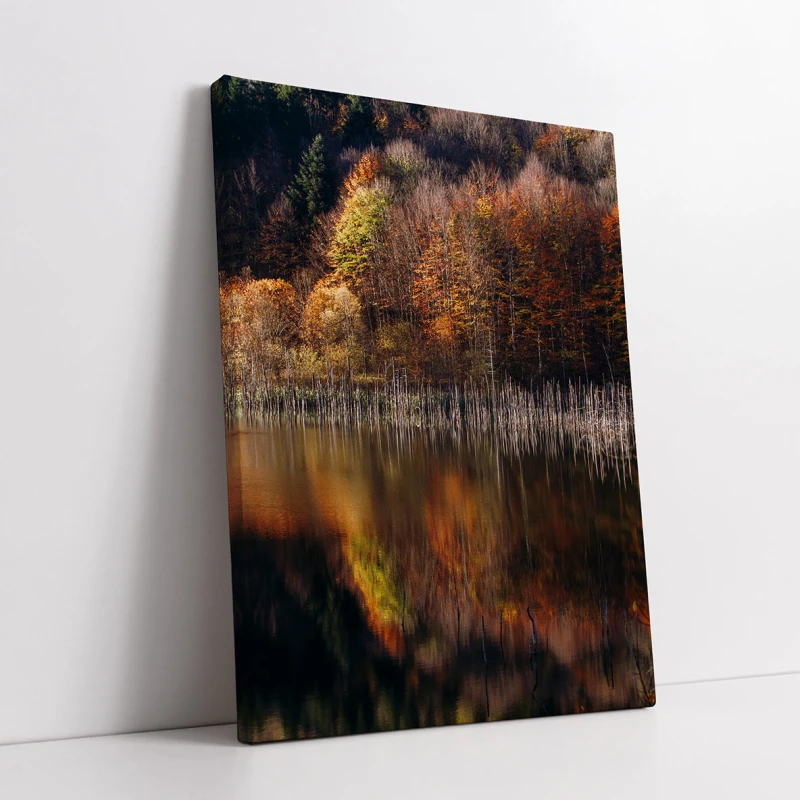 Oglinda Timpului - Cami Voinea