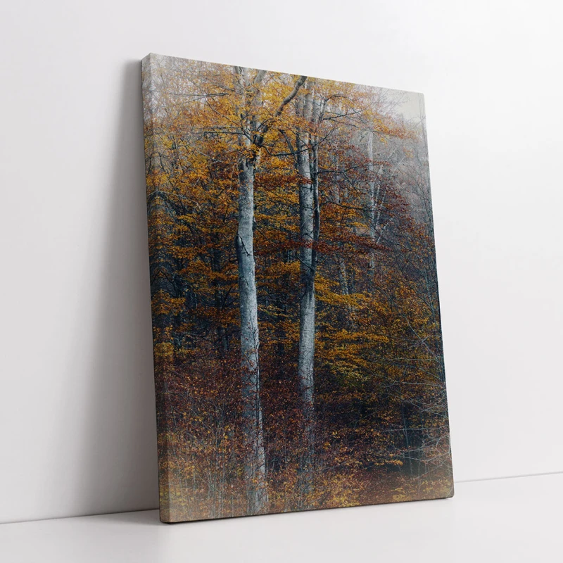 Padurea de Arama - Cami Voinea