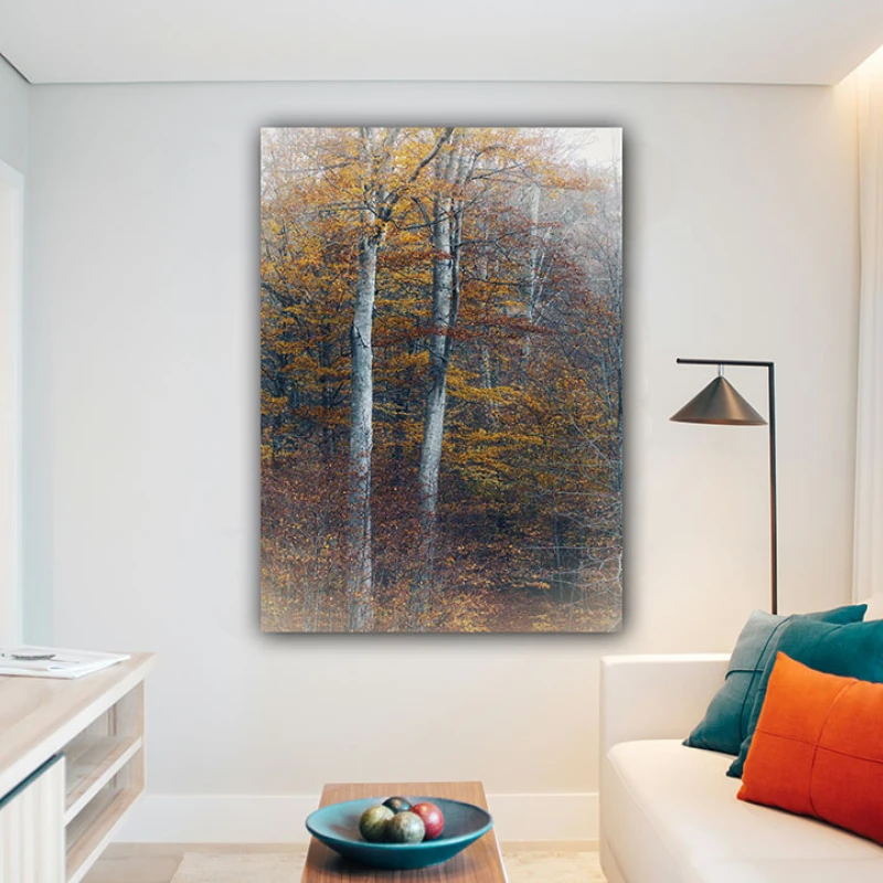 Padurea de Arama - Cami Voinea