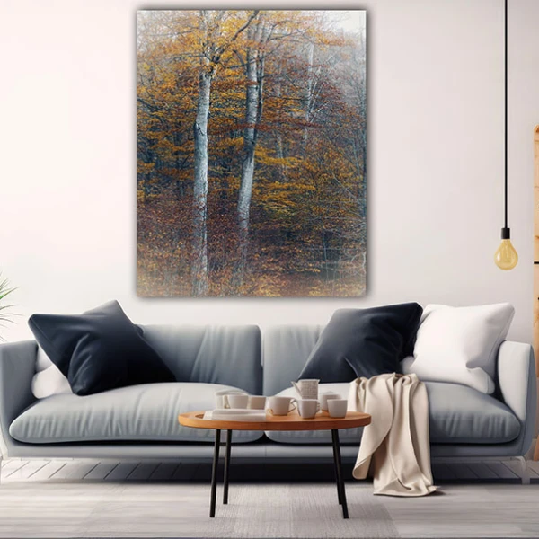 Padurea de Arama - Cami Voinea