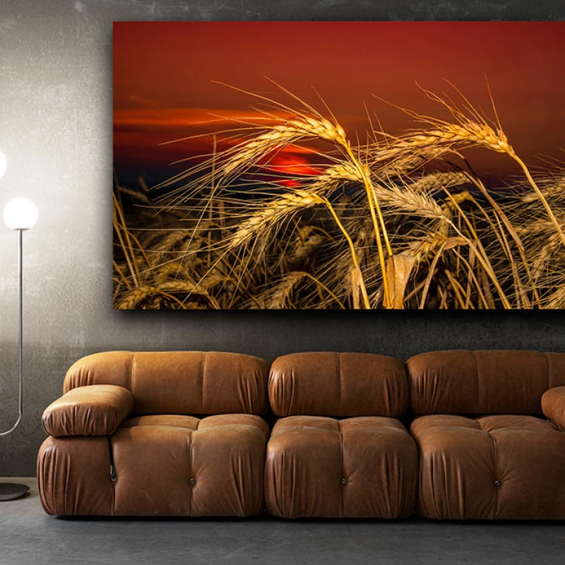 Pâine de Mâine - Cami Voinea