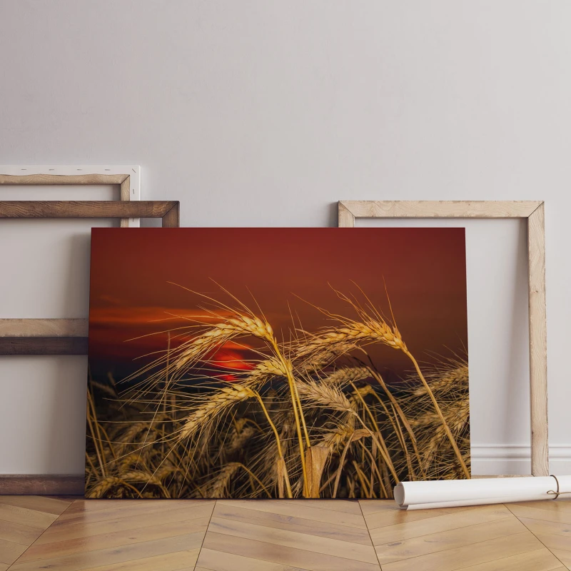 Pâine de Mâine - Cami Voinea