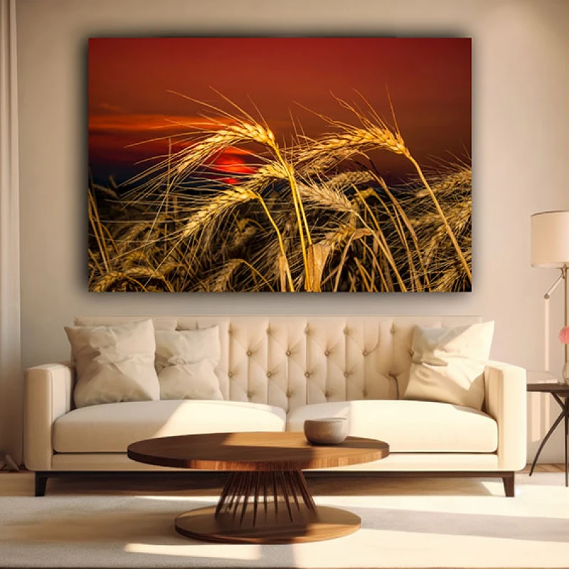 Pâine de Mâine - Cami Voinea