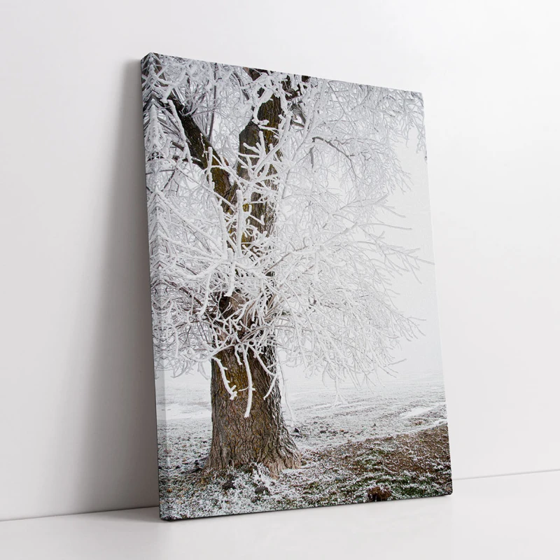 Pe Marginea Timpului - Cami Voinea