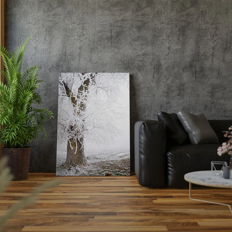 Pe Marginea Timpului - Cami Voinea