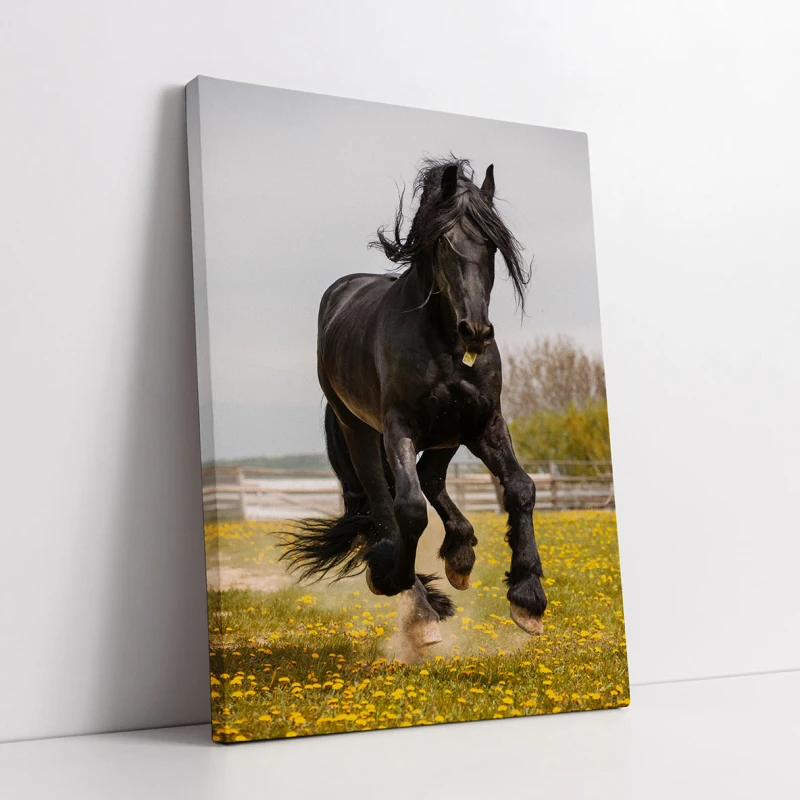 Pegasus - Cami Voinea