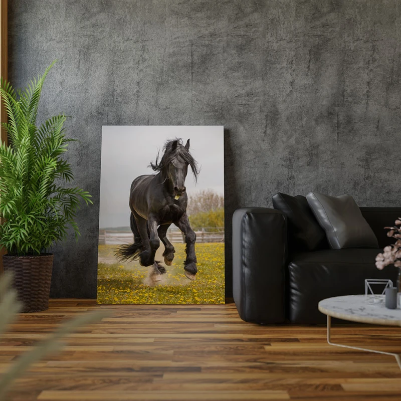 Pegasus - Cami Voinea