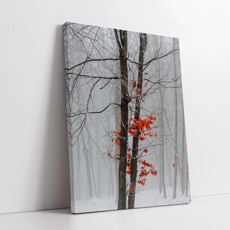 Poveste de Iarna - Cami Voinea