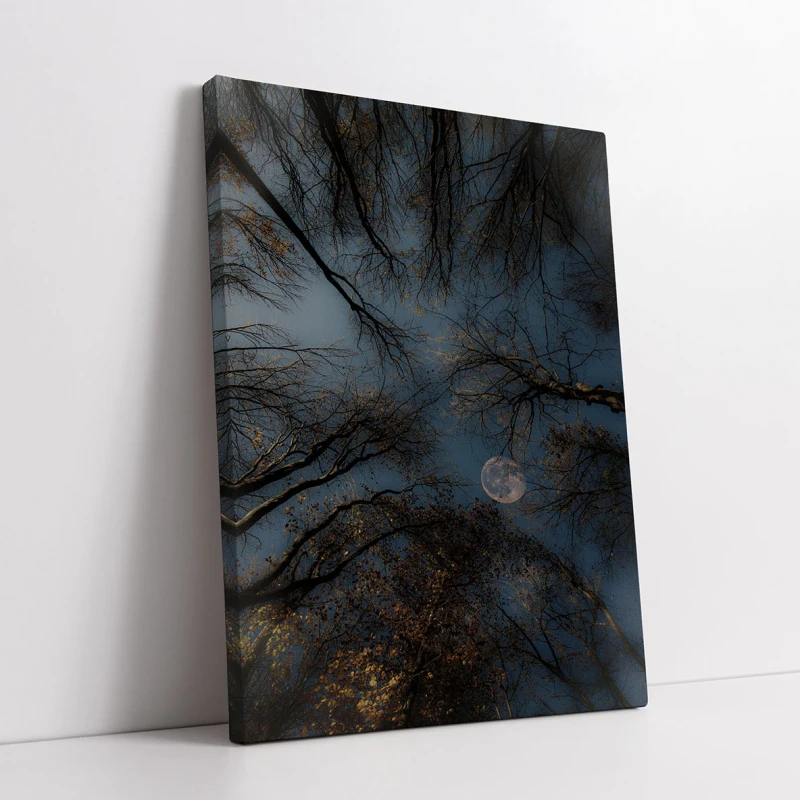 Vis Indepartat - Cami Voinea