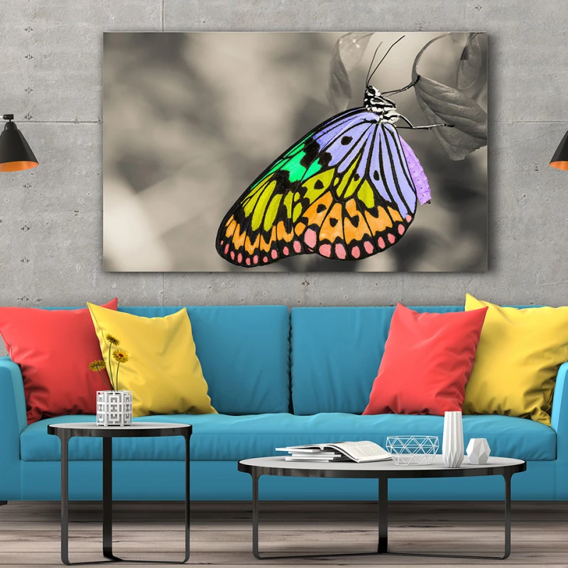 Fluture multicolor - Tablou Fluturi