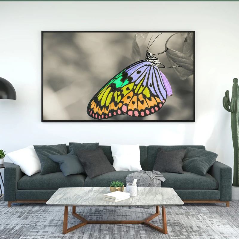 Fluture multicolor - Tablou Fluturi