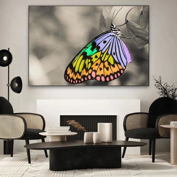 Fluture multicolor - Tablou Fluturi