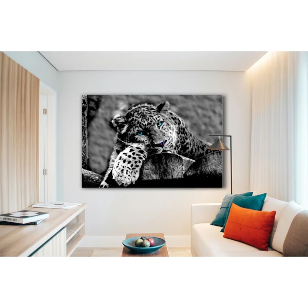 Leopard cu ochi albastri - Tablou Animale Salbatice