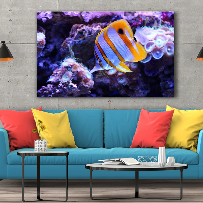 Peste si corali - Tablou Fauna Marina