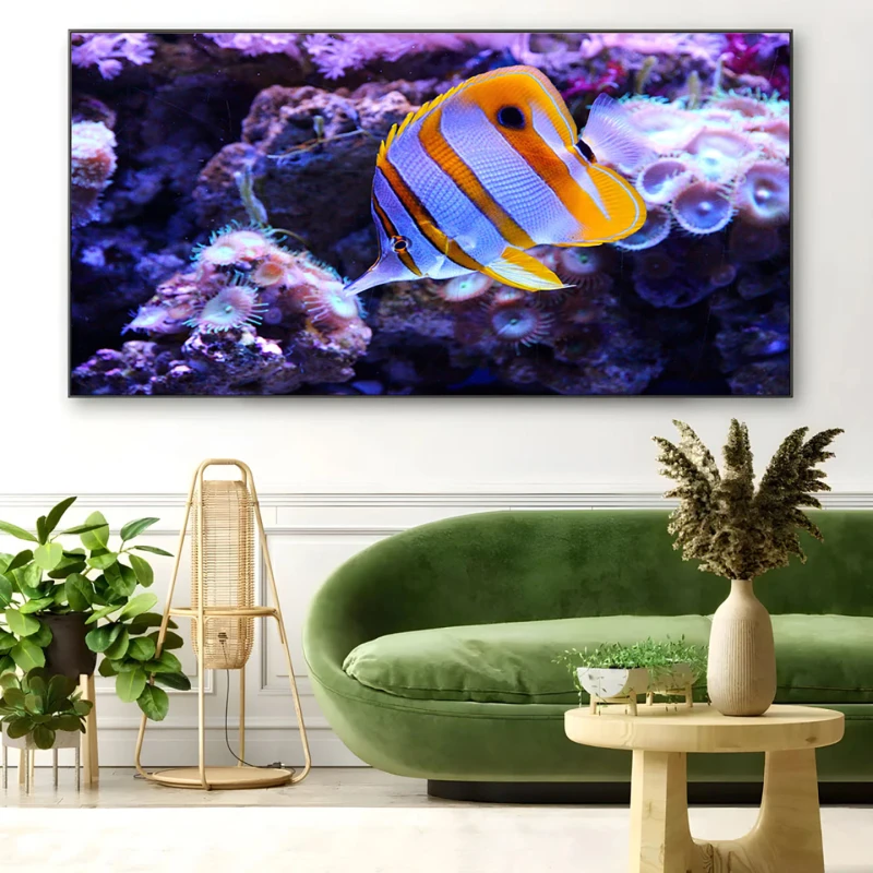 Peste si corali - Tablou Fauna Marina
