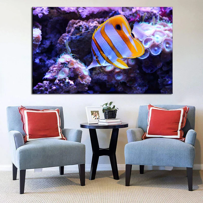 Peste si corali - Tablou Fauna Marina