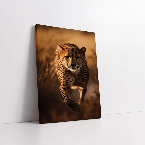 Ghepard la panda - Tablou Animale Salbatice
