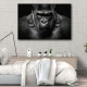 Gorila neagra - Tablou Animale Salbatice