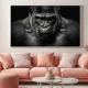 Gorila neagra - Tablou Animale Salbatice